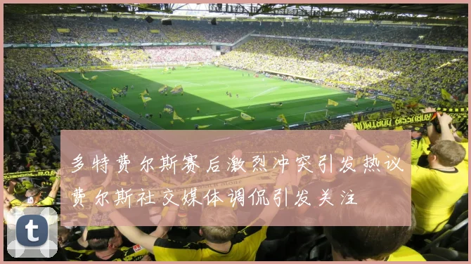 多特费尔斯赛后激烈冲突引发热议费尔斯社交媒体调侃引发关注